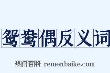 鸳鸯偶反义词是什么意思的图片